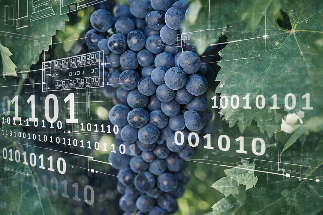 Enterprise Freight Wine Sector